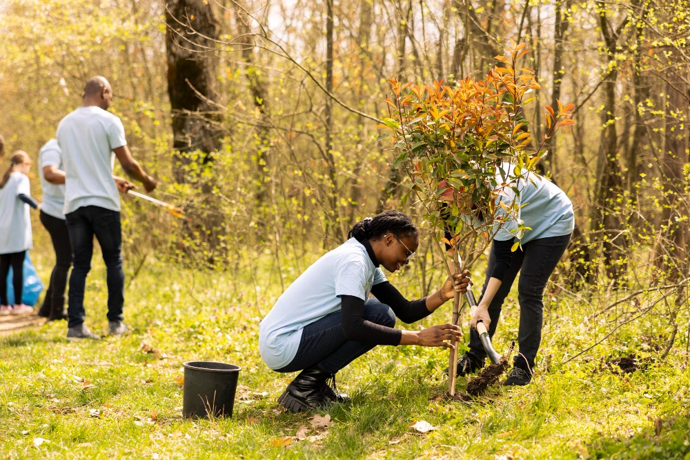 Planting the Seeds of Sustainability...