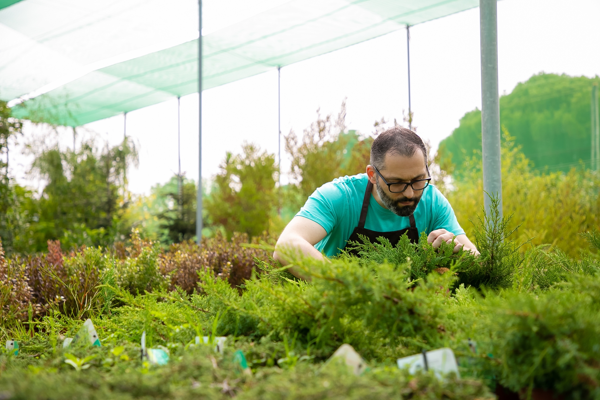 Best Practices of Regenerative Gardening...